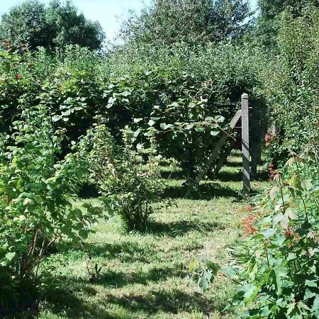 Le Clos Des Tilleuls La Vendelee Bagian luar foto