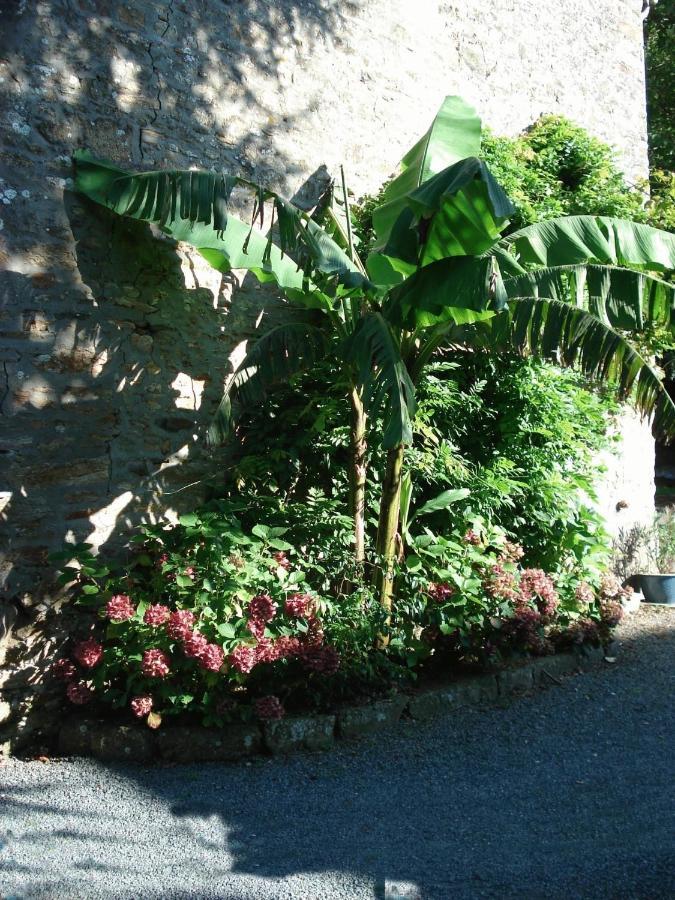 Le Clos Des Tilleuls La Vendelee Bagian luar foto